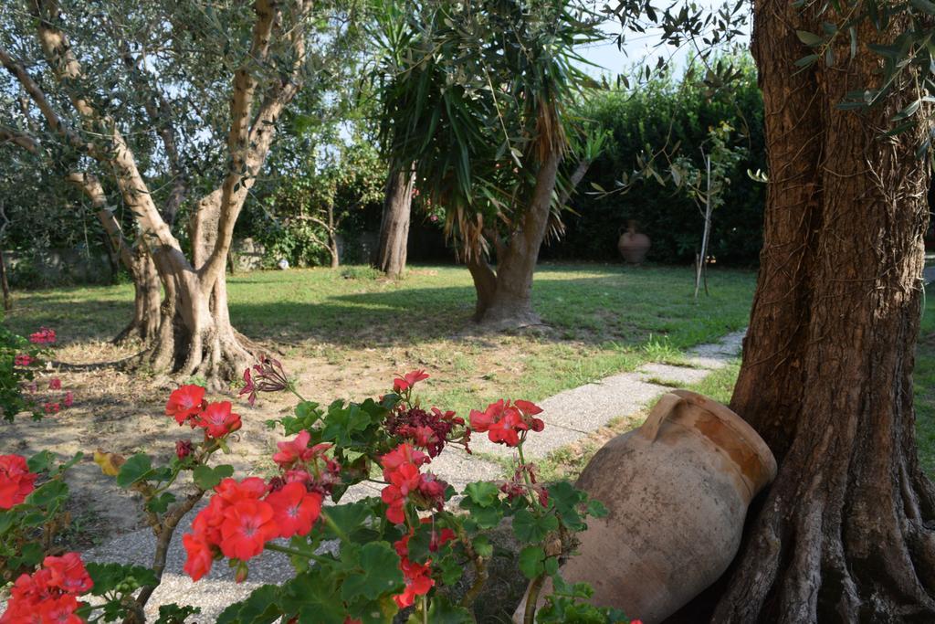 Bed and Breakfast La Convenienza Uliveto Terme Exterior foto