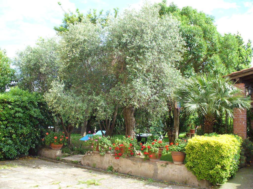 Bed and Breakfast La Convenienza Uliveto Terme Exterior foto